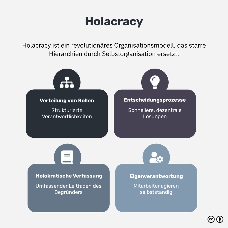 Was ist Holacracy?