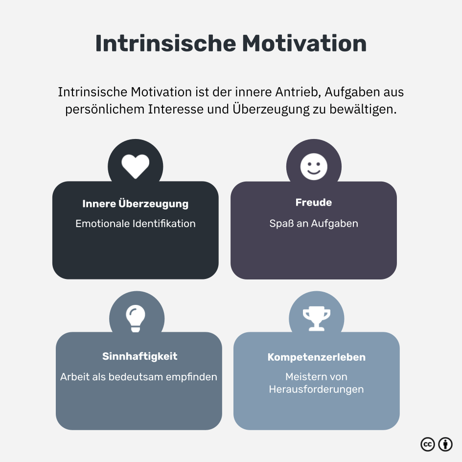 Was ist intrinsische Motivation?